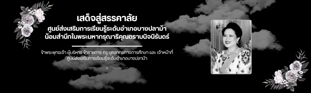 ศูนย์ส่งเสริมการเรียนรู้ระดับอำเภอบางปลาม้า